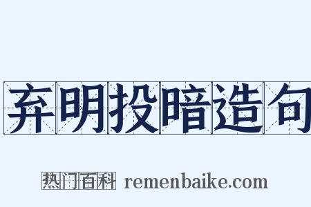 弃明投暗造句是什么意思的图片